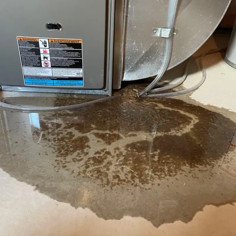 Appliance Leak Cleanup in Laurence Harbor, NJ